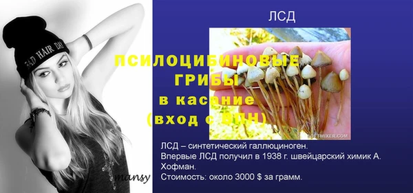 дмт Зерноград
