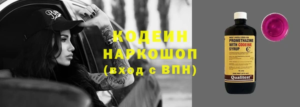 дживик Абаза