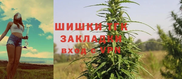 дживик Абаза
