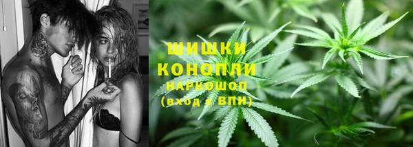 дживик Абаза