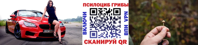 дарнет шоп  Миллерово  Галлюциногенные грибы прущие грибы 